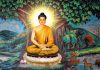 Giải mã giấc mơ thấy phật và thử vận may với con số nào? mơ thấy phật
