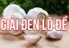 Cách giải đen lô đề được áp dụng nhiều nhất! cách giải đen lô đề