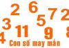 Mách bạn những cách xin số đề chính xác không nên bỏ qua cách xin số đề
