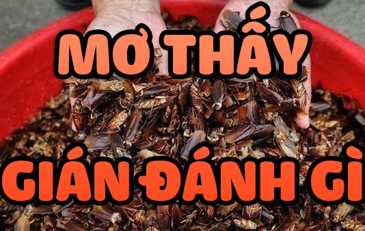 Mơ thấy gián mang đến điềm báo gì? Đánh con gì ăn chắc? mơ thấy gián đánh con gì