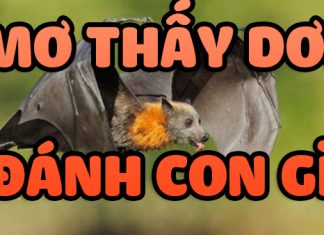 Mơ thấy dơi số mấy? Đánh đề số nào chuẩn nhất? mơ thấy dơi đánh con gì