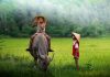 Ý nghĩa giấc mơ thấy con trâu và những con số may mắn Mơ thấy con trâu là điềm báo gì?