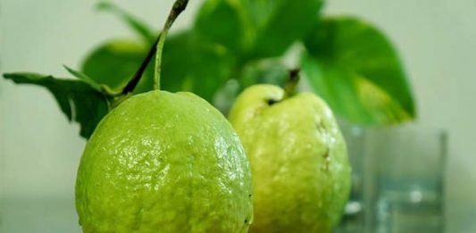 Điềm báo gì trong tương lai nếu mơ thấy quả ổi? Mơ thấy quả ổi
