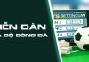 Forum cá độ bóng đá là gì? Những lợi ích khi tham gia forum cá độ? forum cá độ bóng đá là gì