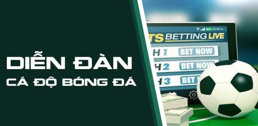 Forum cá độ bóng đá là gì? Những lợi ích khi tham gia forum cá độ? forum cá độ bóng đá là gì