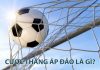 Cược thắng áp đảo là gì? Cách cược kèo thắng áp đảo hiệu quả cược thắng áp đảo là gì?
